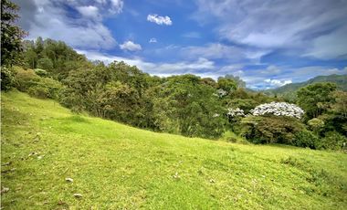 Venta Hermoso Lote Parcelacion Todos los Servicios El Retiro