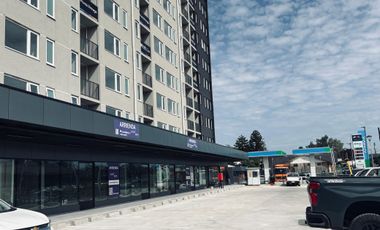 Saturnino Epulef 157 (1 Est /1 Bod) [3622-1]