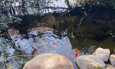 SE VENDE HERMOSA PARCELA CON 3 CABAÑAS EQUIPADAS