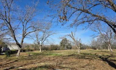 Quinta en venta en Parras, Parras, Coahuila de Zaragoza