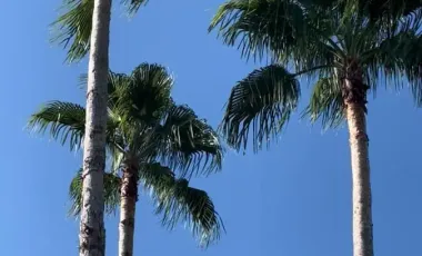 Quinta en venta en Hacienda San Isidro, Cadereyta Jiménez, Nuevo León