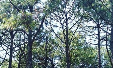 Casa en venta en Eco Aldea