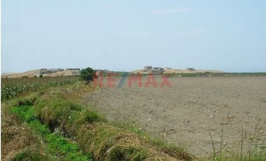 Se Vende Terreno De 4.92 Has En Supe Puerto Barranca
