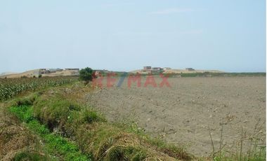 Se Vende Terreno De 4.92 Has En Supe Puerto Barranca