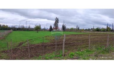Aguas Buenas, 5000 m2 para concretar sueños!