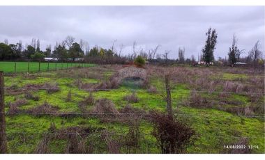 Aguas Buenas, 5000 m2 para concretar sueños!