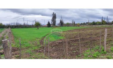 Aguas Buenas, 5000 m2 para concretar sueños!