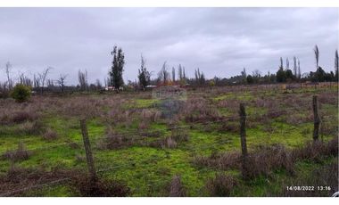 Aguas Buenas, 5000 m2 para concretar sueños!