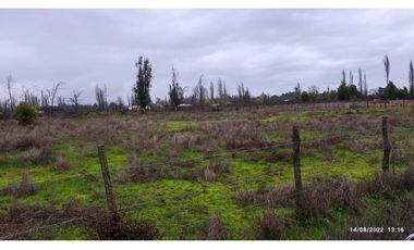 Aguas Buenas, 5000 m2 para concretar sueños!