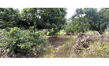 LOTE PLANO EN LA MESA . CUNDINAMARCA
