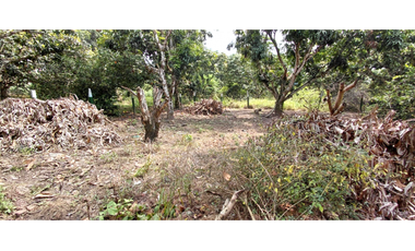 LOTE PLANO EN LA MESA . CUNDINAMARCA