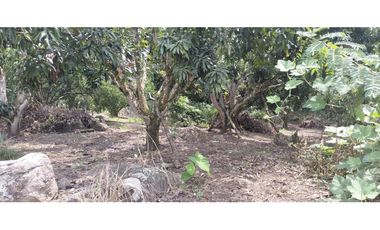 LOTE PLANO EN LA MESA . CUNDINAMARCA