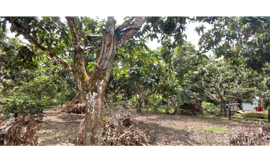 LOTE PLANO EN LA MESA . CUNDINAMARCA