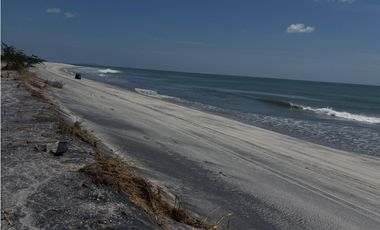 GORGONA / PLAYA MALIBU / 910M / 2 HABITACIONES / FRENTE AL MAR