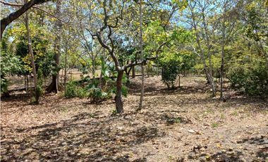 SAN CARLOS / RIO MAR / 1500M / TERRENO PLANO  / CERCA DE PLAYA AG