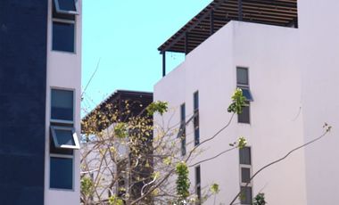 Departamento en Renta en Cholul. Mérida Yucatán