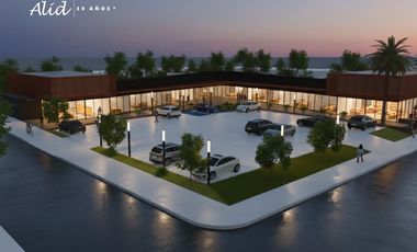 GRAN PROYECTO COMERCIAL DE ALTO NIVEL EN PLACILLA