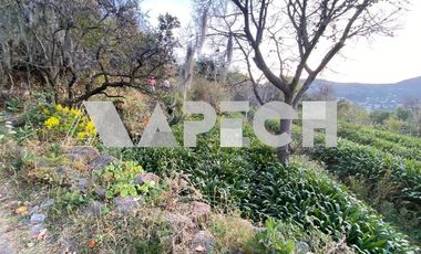 TERRENO EN VENTA SAN MIGUEL TLAIXPAN