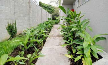 Alquiler Apartamento Ciudad Guabinas, C.R. Lorica