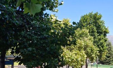 ESTORIL 50, EXCELENTE UBICACIÓN.