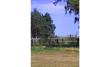 900 Ha agricolas Bordenave