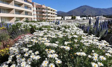 Departamento en arriendo en PAPUDO