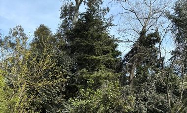 CASA a Refaccionar- IDEAL INVERSOR-3200 M2 DE PAZ