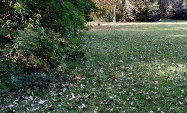 CASA a Refaccionar- IDEAL INVERSOR-3200 M2 DE PAZ