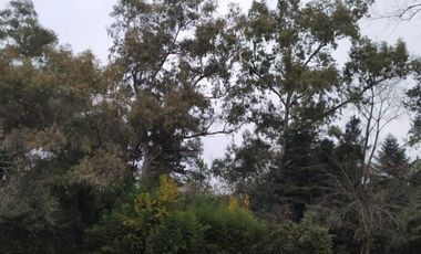 CASA a Refaccionar- IDEAL INVERSOR-3200 M2 DE PAZ