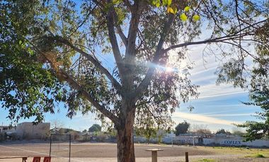 Terreno en Venta Torreón Coahuila | Potencial de Desarrollo Escalonado