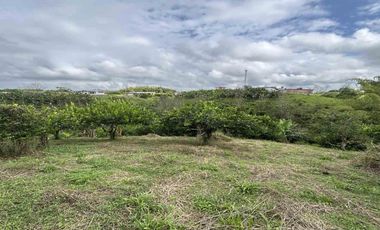 FINCA EN VENTA JARDIN MESENIA/PEREIRA