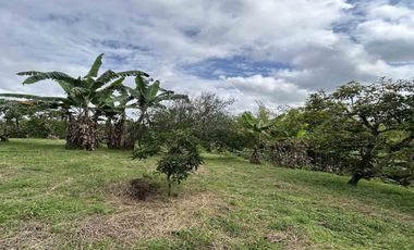 FINCA EN VENTA JARDIN MESENIA/PEREIRA