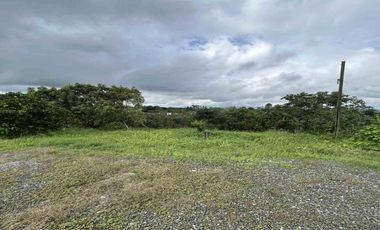 FINCA EN VENTA JARDIN MESENIA/PEREIRA