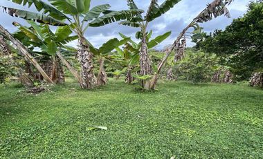 FINCA EN VENTA JARDIN MESENIA/PEREIRA