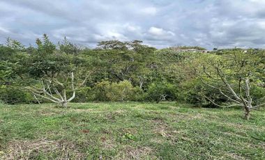 FINCA EN VENTA JARDIN MESENIA/PEREIRA