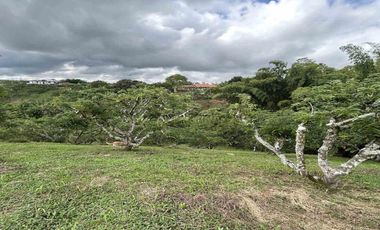 FINCA EN VENTA JARDIN MESENIA/PEREIRA