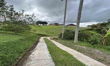 FINCA EN VENTA JARDIN MESENIA/PEREIRA