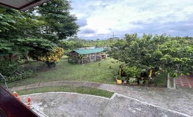 FINCA EN VENTA JARDIN MESENIA/PEREIRA