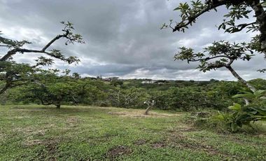 FINCA EN VENTA JARDIN MESENIA/PEREIRA