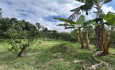 FINCA EN VENTA JARDIN MESENIA/PEREIRA
