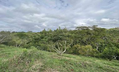 FINCA EN VENTA JARDIN MESENIA/PEREIRA