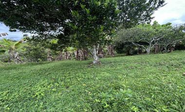 FINCA EN VENTA JARDIN MESENIA/PEREIRA