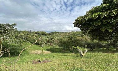 FINCA EN VENTA JARDIN MESENIA/PEREIRA