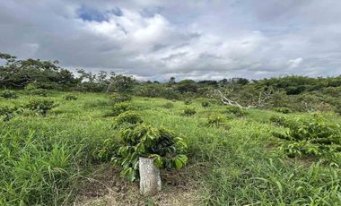 FINCA EN VENTA JARDIN MESENIA/PEREIRA