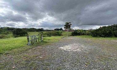 FINCA EN VENTA JARDIN MESENIA/PEREIRA