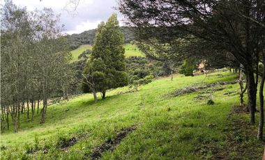 VENDO CASA CAMPESTRE MODULAR VEREDA SANTA HELENA - LA CALERA
