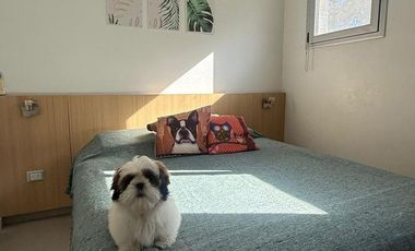 Casa 5 ambientes a la laguna en alquiler - Barrio Privado Las Golondrinas - Hudson