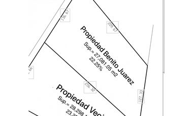 Terreno Comercial en Renta Cadereyta - Av. Benito Juárez