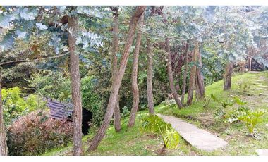 CP-542-Conjunto 7 Casas campestres-Santa Elena-V.El Cerro-S.Loma Verde