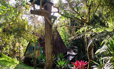 CP-542-Conjunto 7 Casas campestres-Santa Elena-V.El Cerro-S.Loma Verde